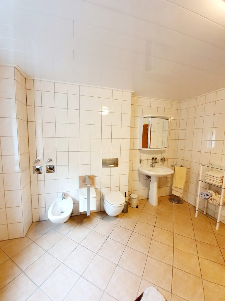 Ferienwohnung in Beckingen Haustadt - Badezimmer